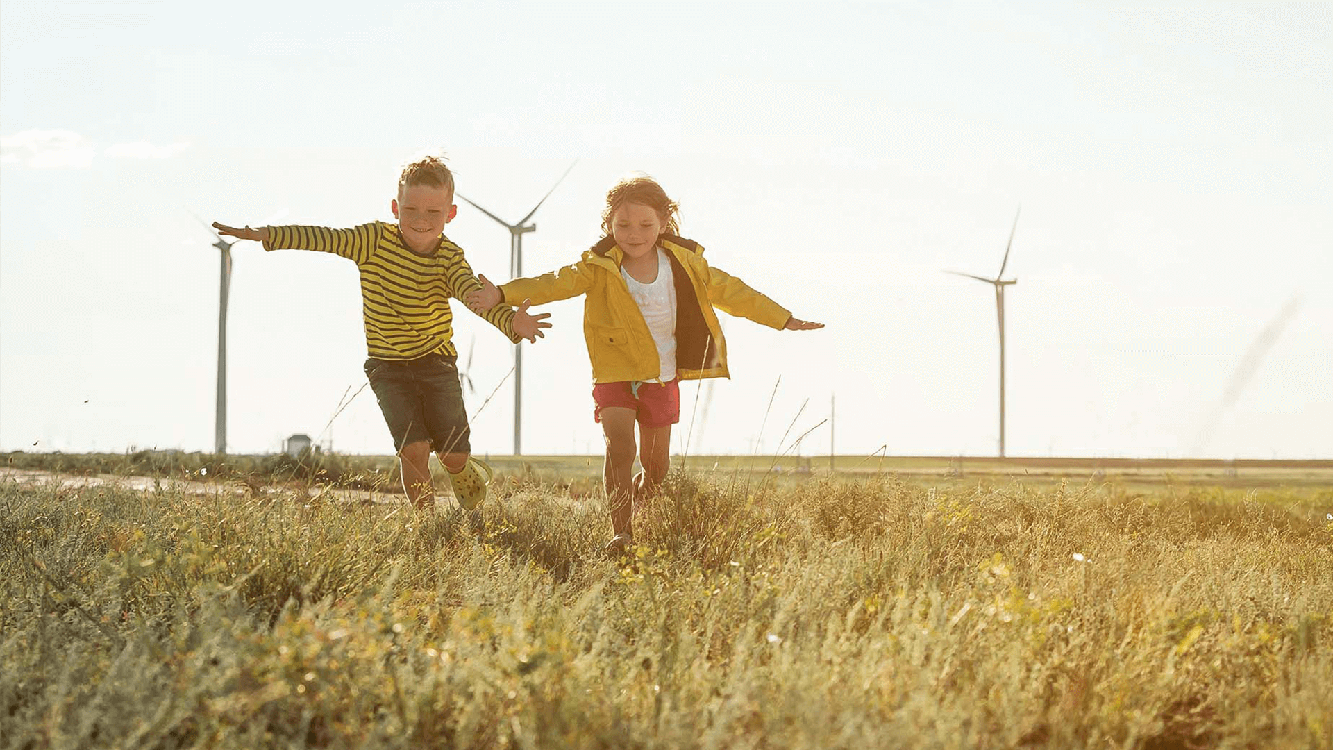 Windmolens In Veld Windmolens In Veld